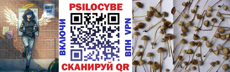 hydra ссылки  Полярный  Галлюциногенные грибы GOLDEN TEACHER 