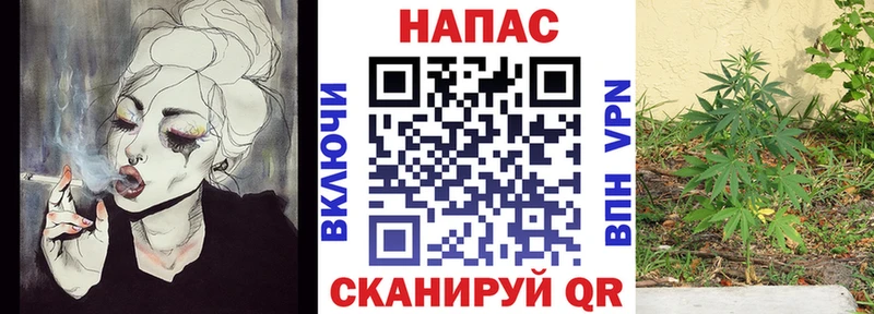 Шишки марихуана семена  Полярный 